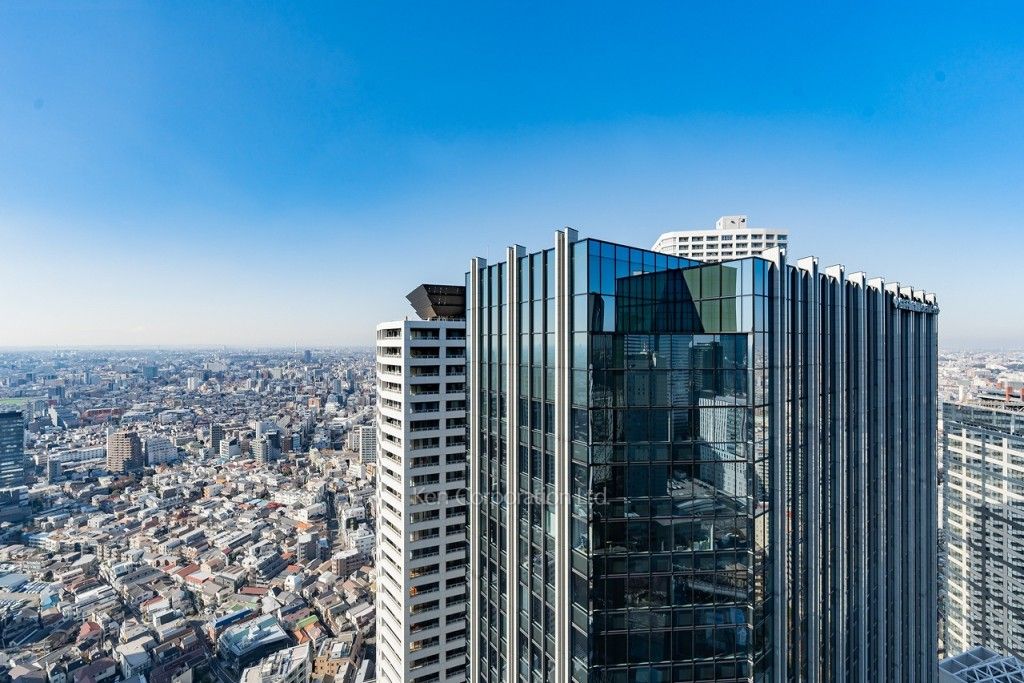セントラルパークタワー ラ・トゥール新宿の写真 眺望（居室から）