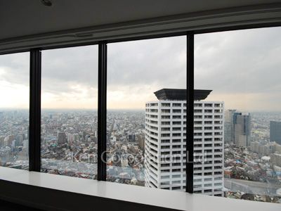 セントラルパークタワー ラ・トゥール新宿の写真 眺望（居室から）