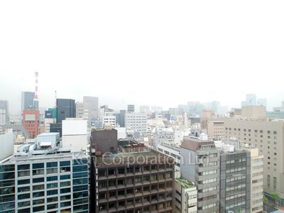 ラフィーヌ銀座の写真 眺望