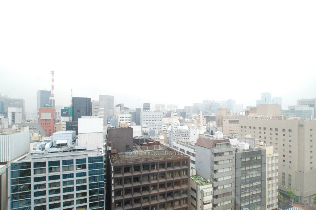 ラフィーヌ銀座の写真 眺望