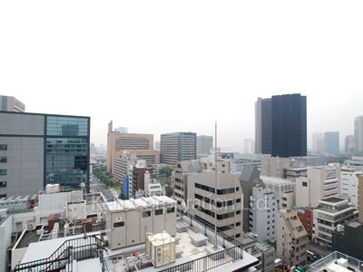 ラフィーヌ銀座の写真 眺望（居室から）