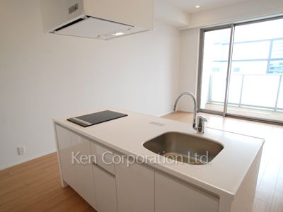 ラフィーヌ銀座の写真 キッチン