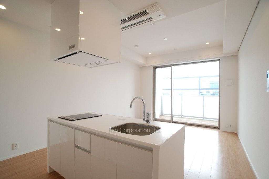 ラフィーヌ銀座の写真 居室（LDなど）