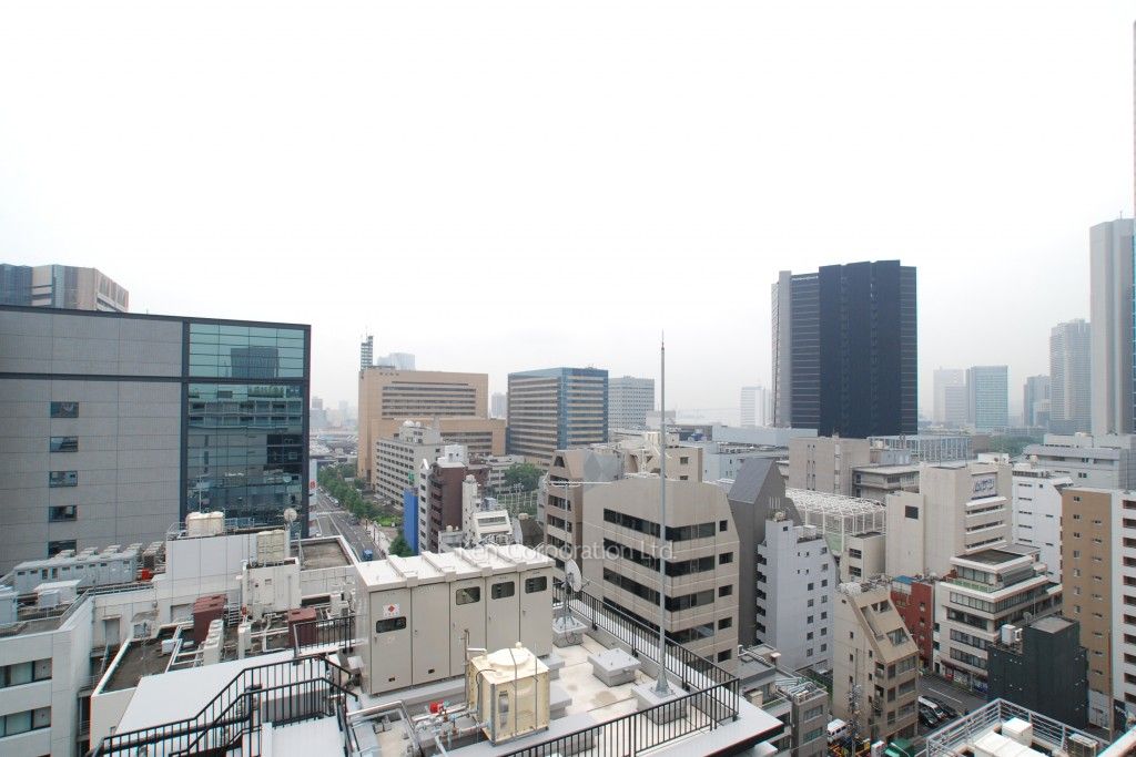 ラフィーヌ銀座の写真 眺望（居室から）