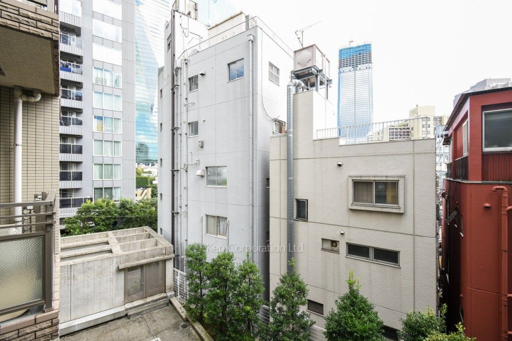 オーキッドレジデンス六本木の写真 眺望（居室から）