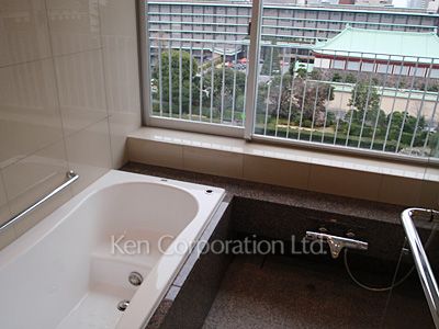 赤坂テラスハウスの写真 バスルーム