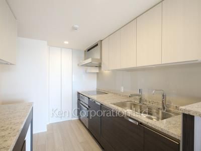 リバーポイントタワーの写真 キッチン