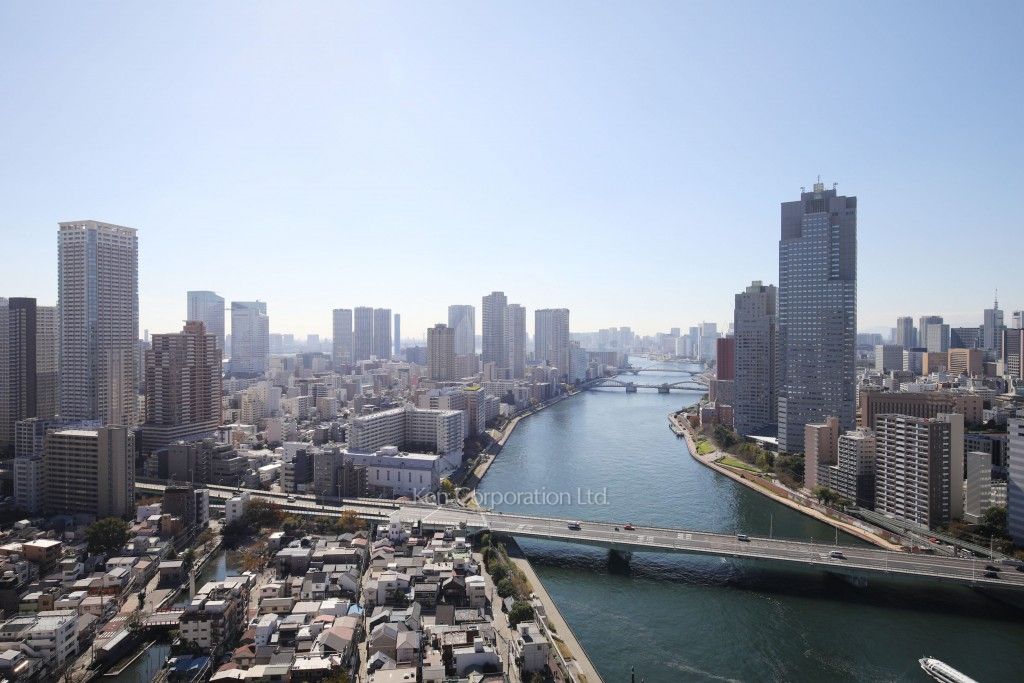 リバーポイントタワーの写真 眺望（居室から）