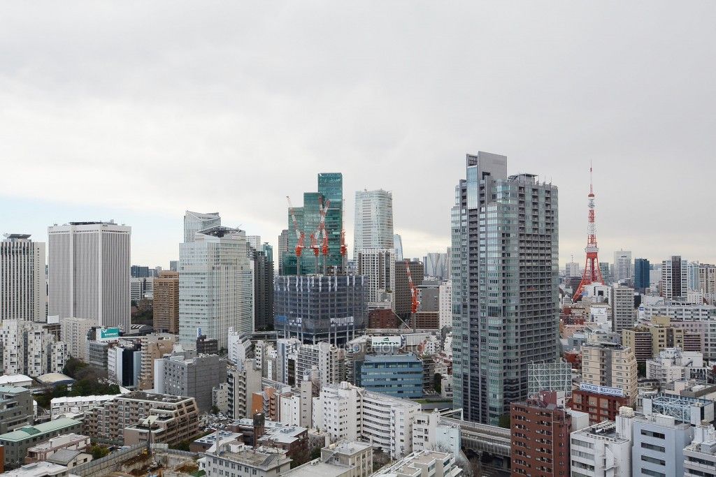 東京ミッドタウン・レジデンシィズの写真 眺望