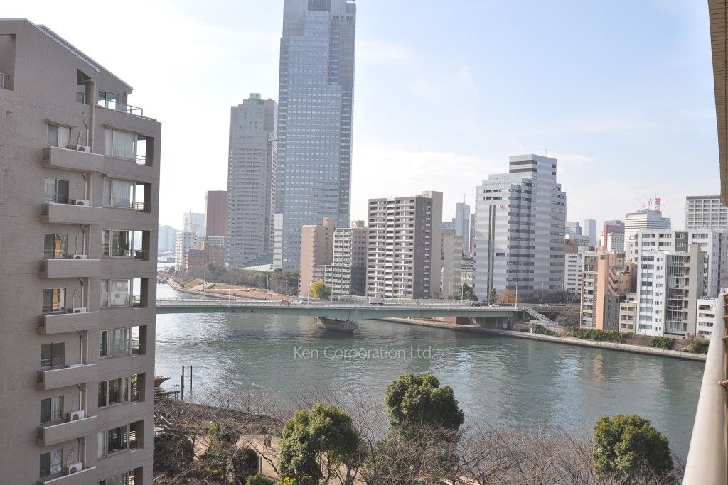 リバーポイントタワーの写真 眺望（居室から）