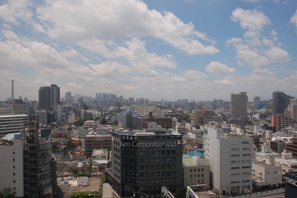 ラ・トゥール飯田橋の写真 眺望