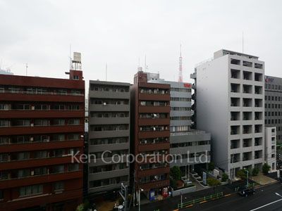 パークコート麻布十番ザ・タワーの写真 眺望