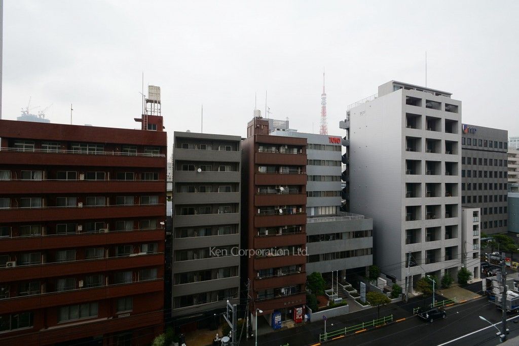 パークコート麻布十番ザ・タワーの写真 眺望