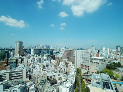 ラ・トゥール渋谷の写真 眺望