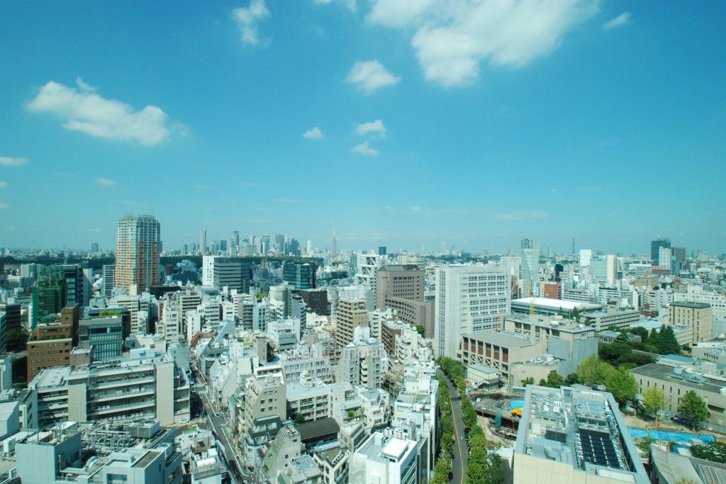 ラ・トゥール渋谷の写真 眺望