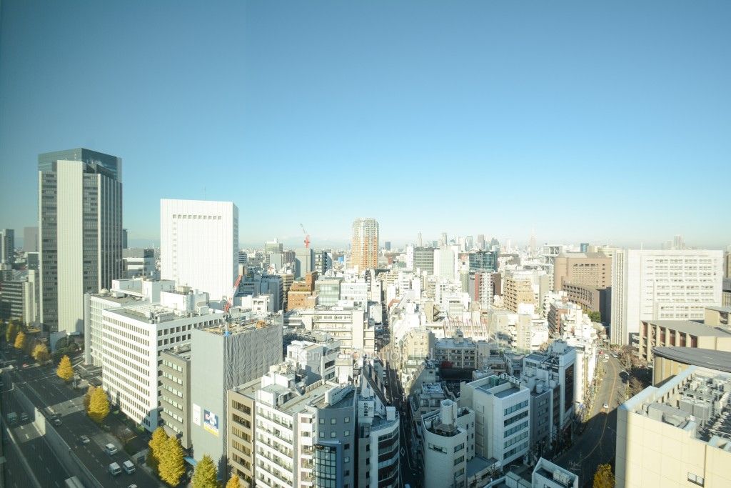 ラ・トゥール渋谷の写真 眺望（居室から）