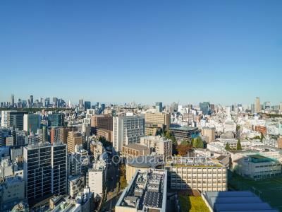 ラ・トゥール渋谷の写真 眺望（居室から）