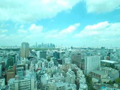 ラ・トゥール渋谷の写真 眺望
