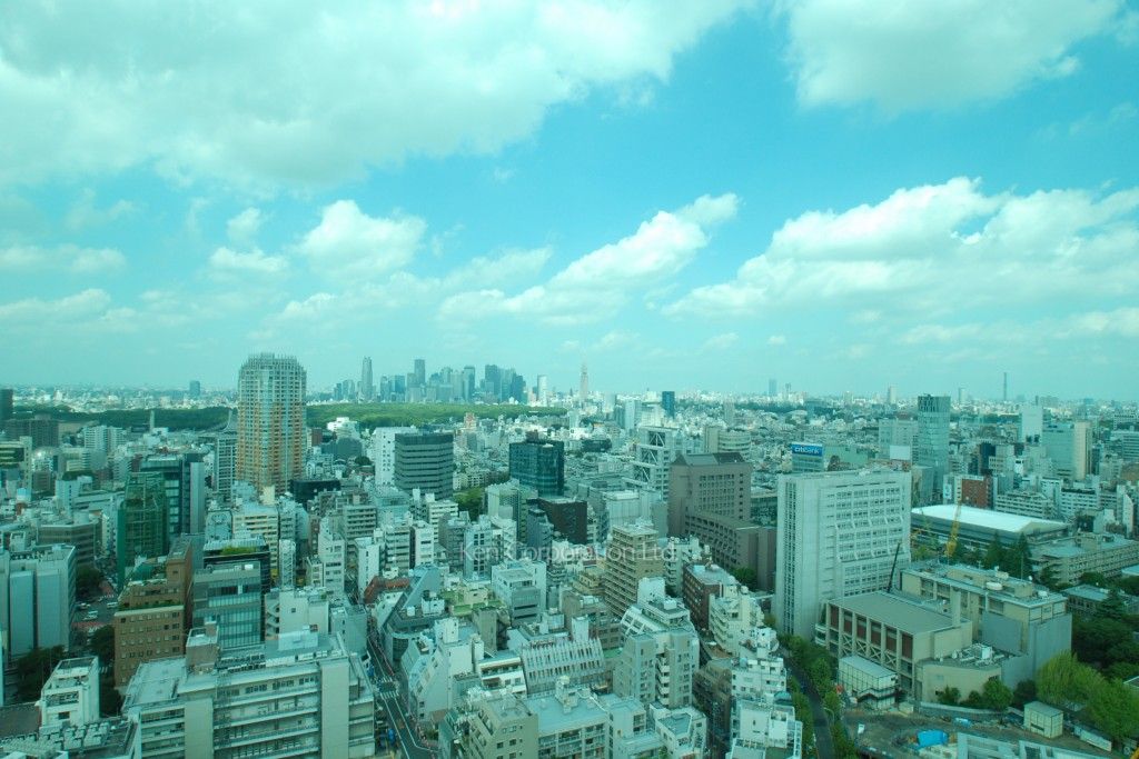 ラ・トゥール渋谷の写真 眺望