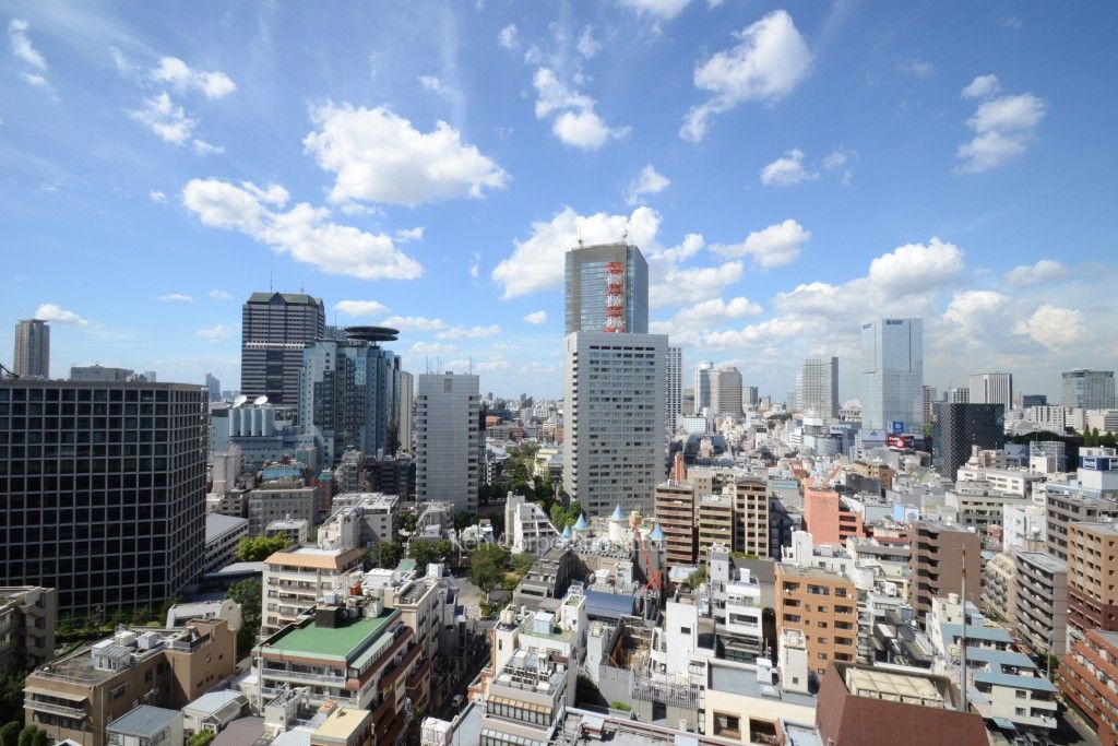 赤坂タワーレジデンスTop of the Hillの写真 眺望（居室から）