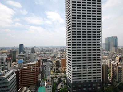 セントラルパークタワー ラ・トゥール新宿の写真 眺望（居室から）