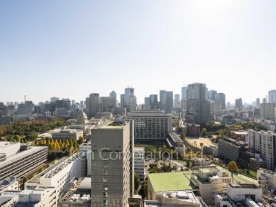 平河町森タワーレジデンスの写真 眺望（居室から）