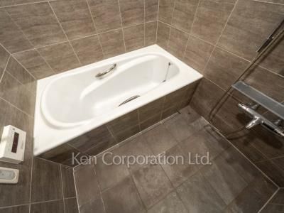 平河町森タワーレジデンスの写真 バスルーム