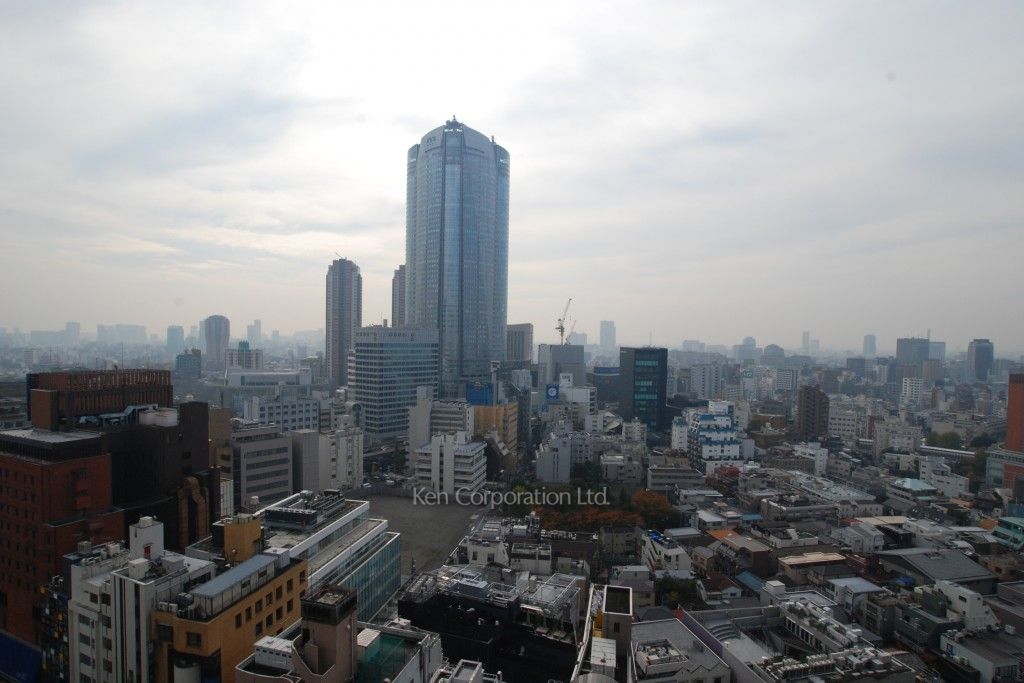東京ミッドタウン・レジデンシィズの写真 眺望
