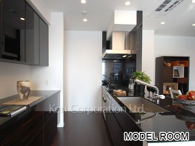 Brillia ist Tower 勝どきの写真 キッチン