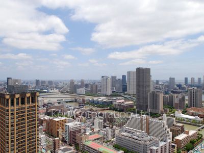 Brillia ist Tower 勝どきの写真 眺望（居室から）