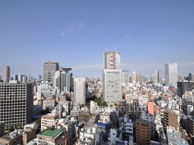 赤坂タワーレジデンスTop of the Hillの写真 眺望（居室から）
