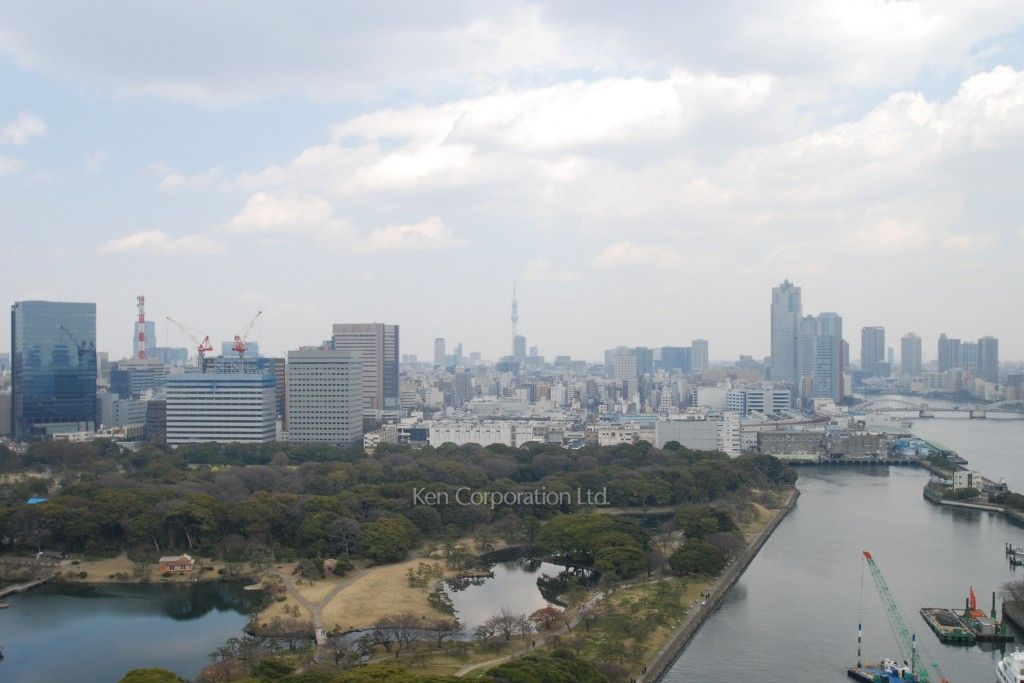 スカイハウス浜離宮の写真 眺望