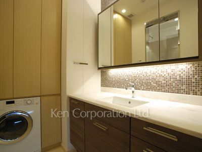 スカイハウス浜離宮の写真 パウダールーム