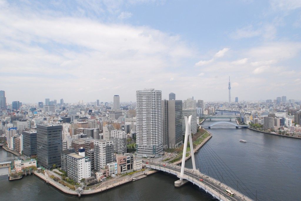 リバーポイントタワーの写真 眺望（居室から）