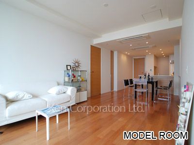 パークアクシス青山一丁目タワーの写真 リビングダイニング