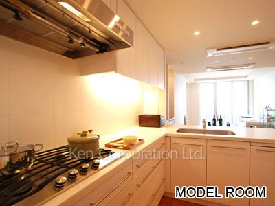 パークアクシス青山一丁目タワーの写真 キッチン