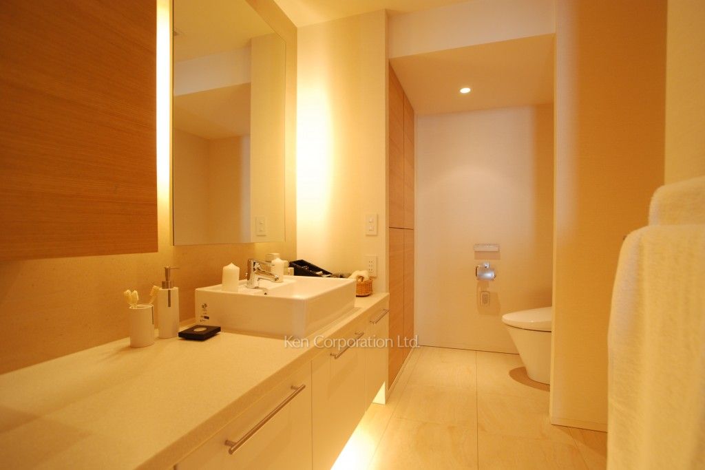 パークアクシス青山一丁目タワーの写真 パウダールーム