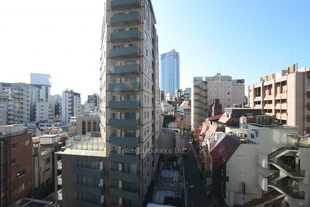 THE ROPPONGI TOKYO SUPERIOR RESIDENCEの写真 眺望