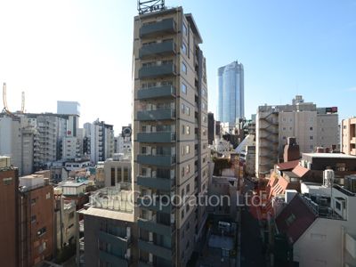 THE ROPPONGI TOKYO SUPERIOR RESIDENCEの写真 眺望