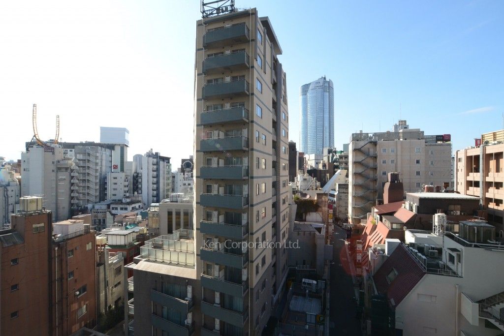 THE ROPPONGI TOKYO SUPERIOR RESIDENCEの写真 眺望