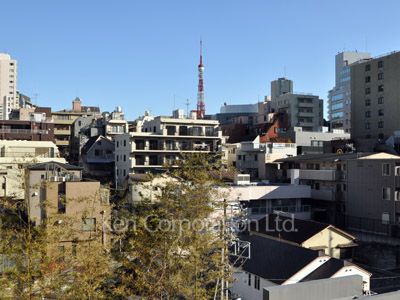 THE ROPPONGI TOKYO SUPERIOR RESIDENCEの写真 眺望