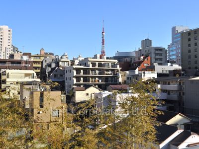 THE ROPPONGI TOKYO SUPERIOR RESIDENCEの写真 眺望