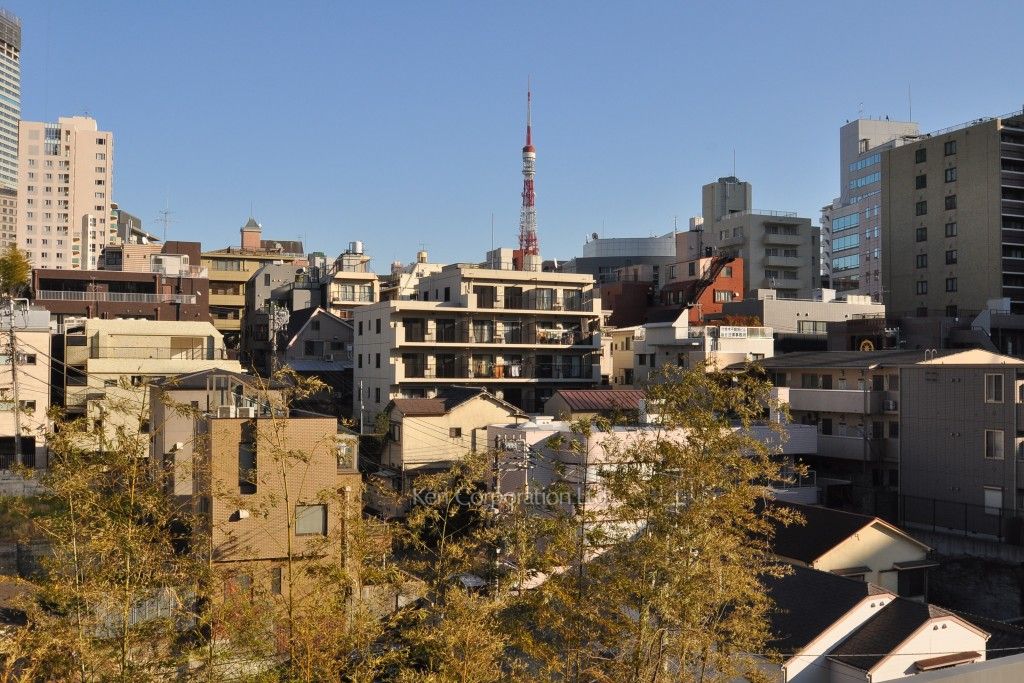 THE ROPPONGI TOKYO SUPERIOR RESIDENCEの写真 眺望