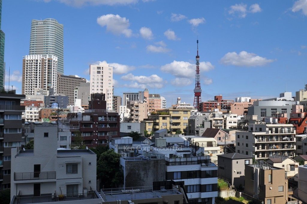 THE ROPPONGI TOKYO SUPERIOR RESIDENCEの写真 眺望