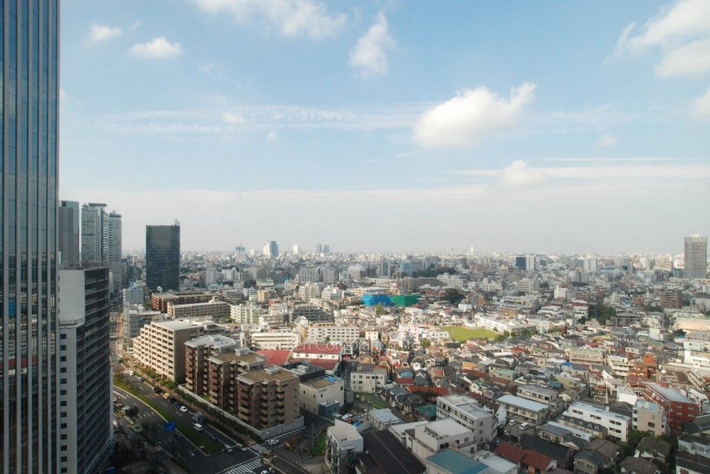 ラ・トゥール新宿グランドの写真 眺望