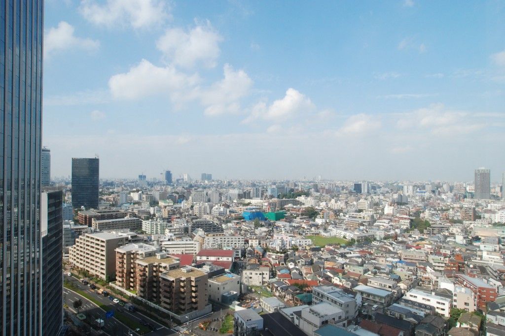 ラ・トゥール新宿グランドの写真 眺望