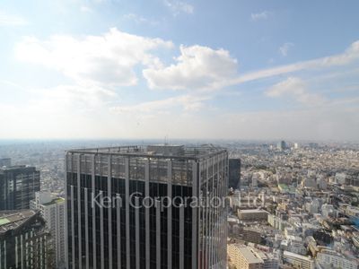 ラ・トゥール新宿グランドの写真 眺望