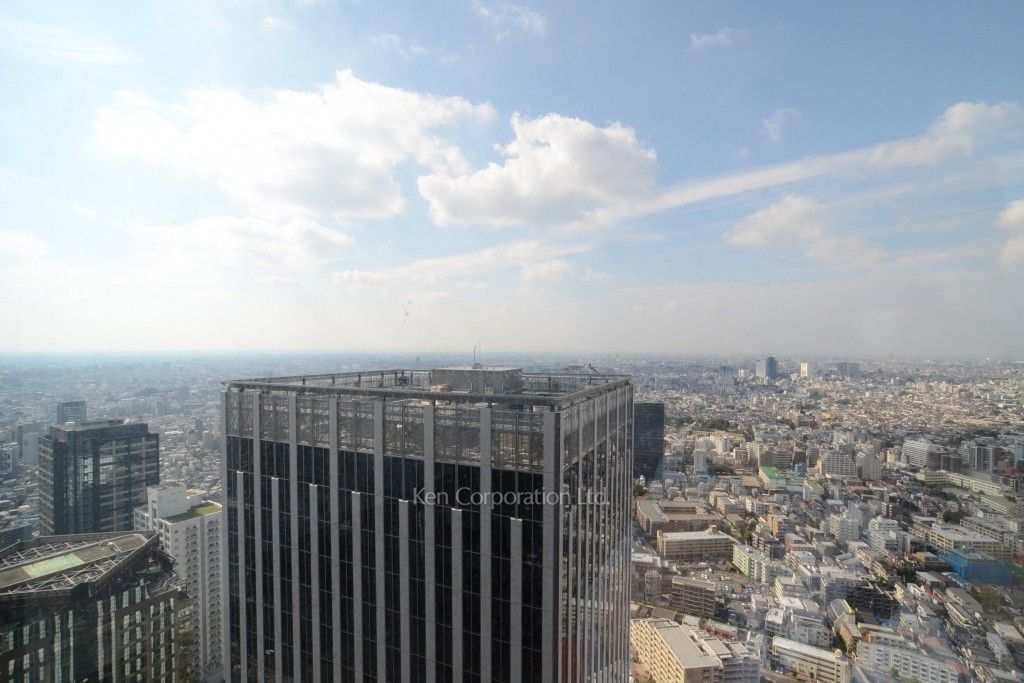 ラ・トゥール新宿グランドの写真 眺望