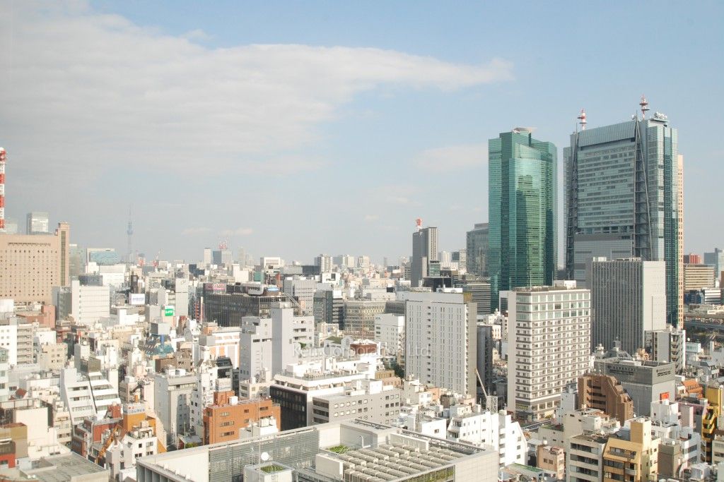 パークアクシス御成門の写真 眺望（居室から）