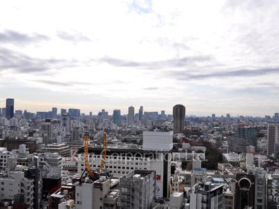 THE ROPPONGI TOKYO CLUB RESIDENCEの写真 眺望